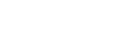 Napptilus Battery Logo